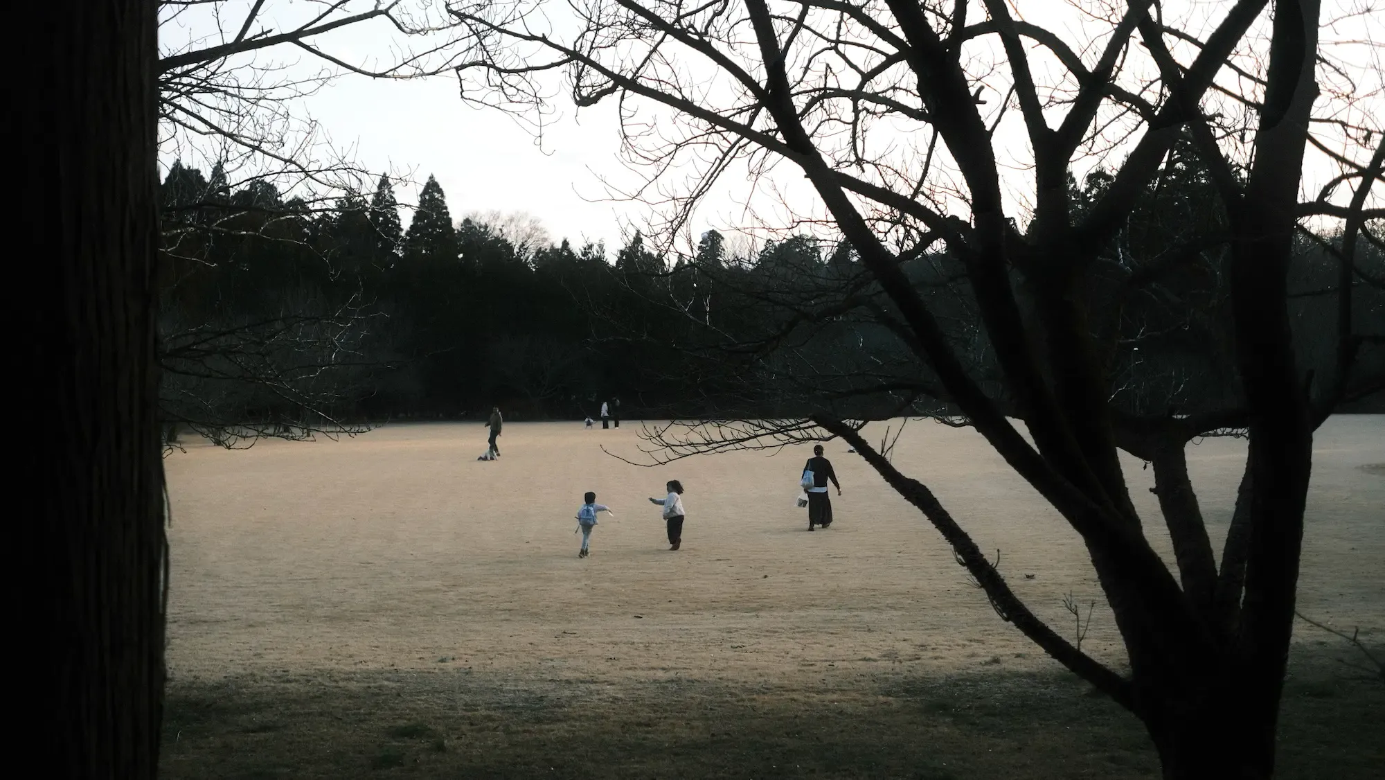 DIC川村美術館の広場